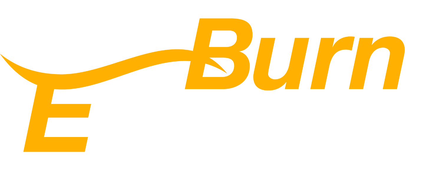 Logo Digital Burn Express