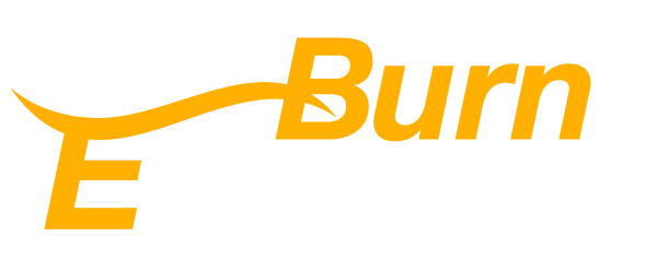 Digital Burn Express Logo